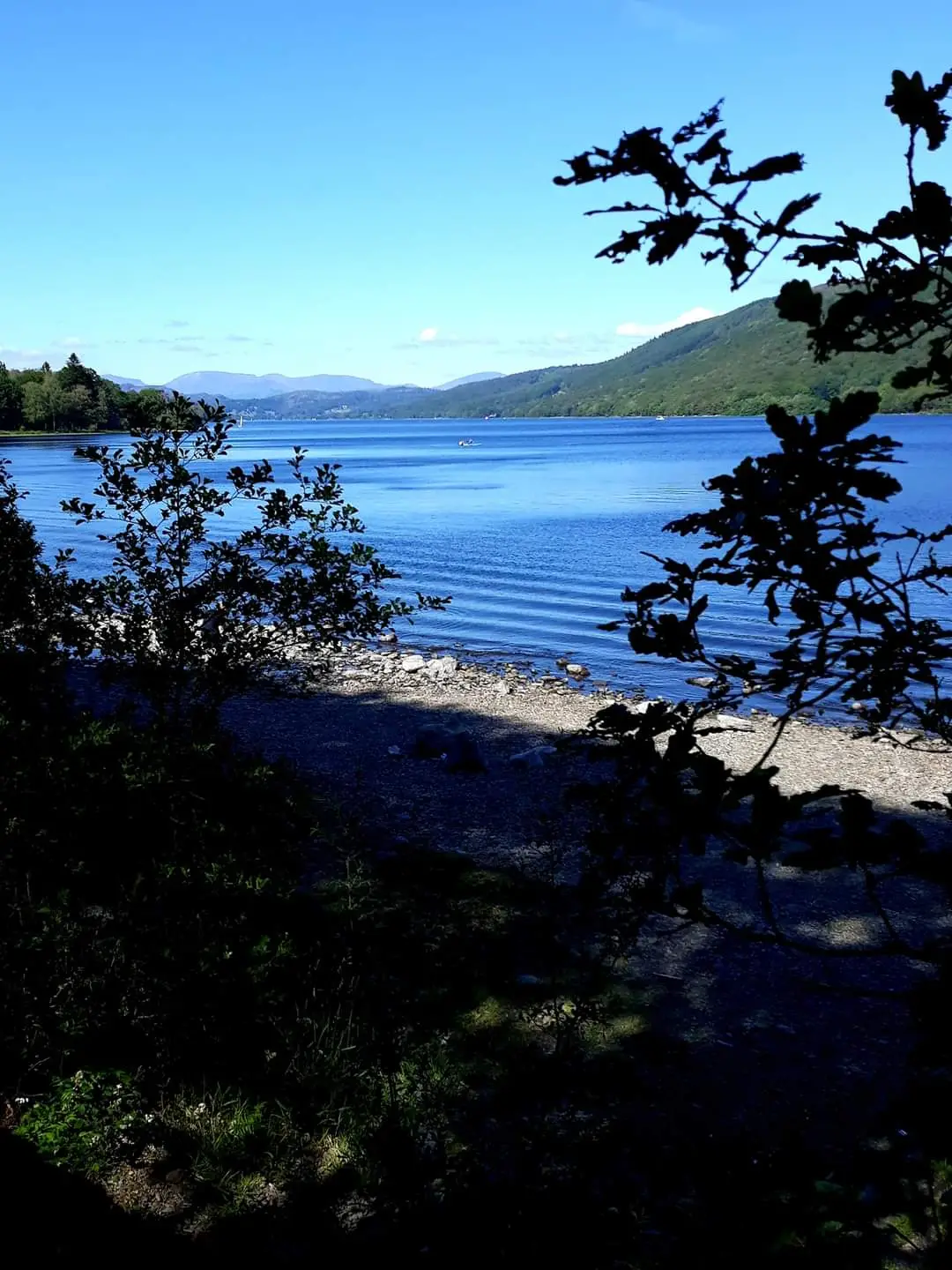 FB_IMG_1626284341246