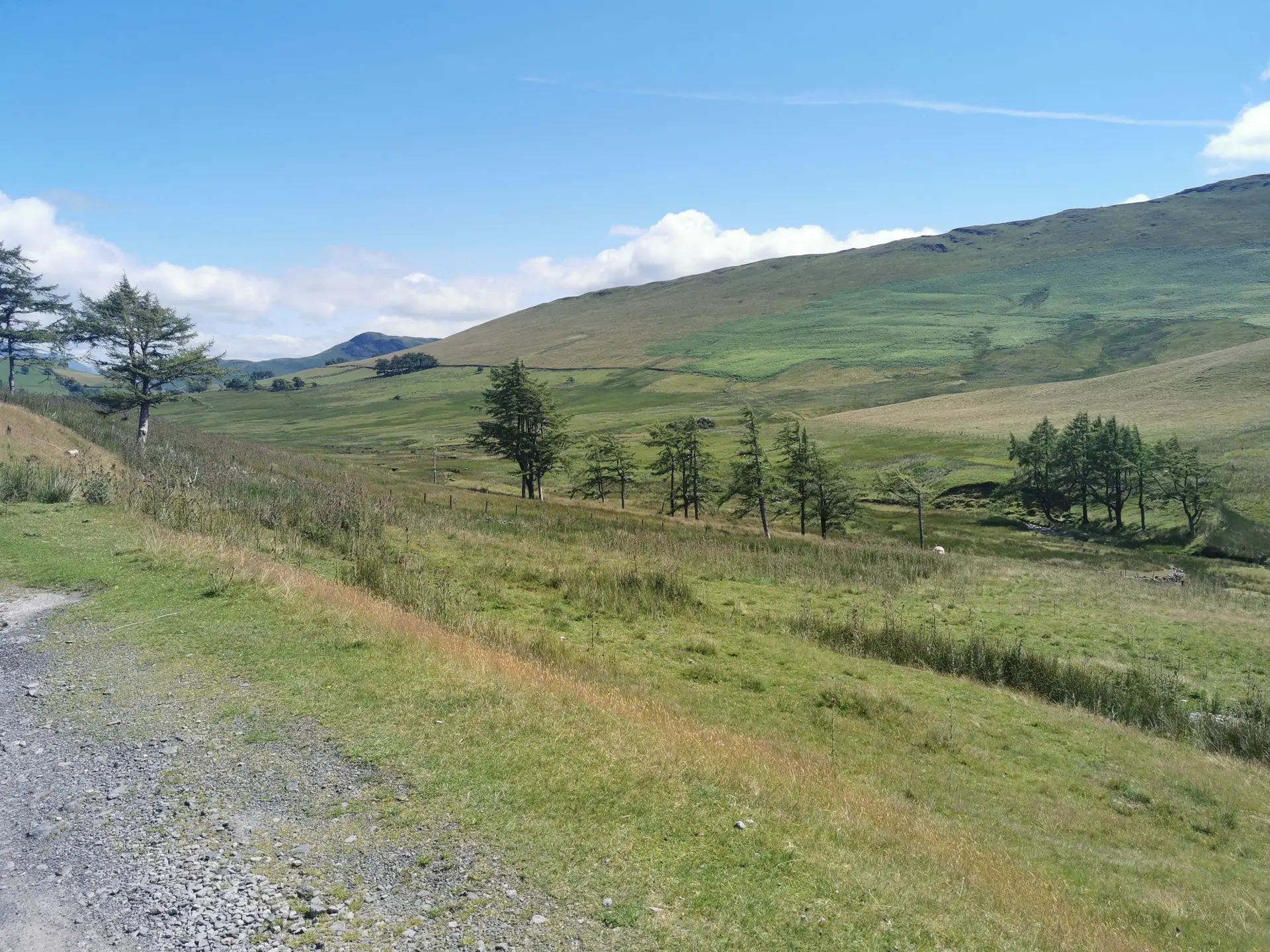 image-03f28afc-dc87-4b85-8cd7-50439c135837