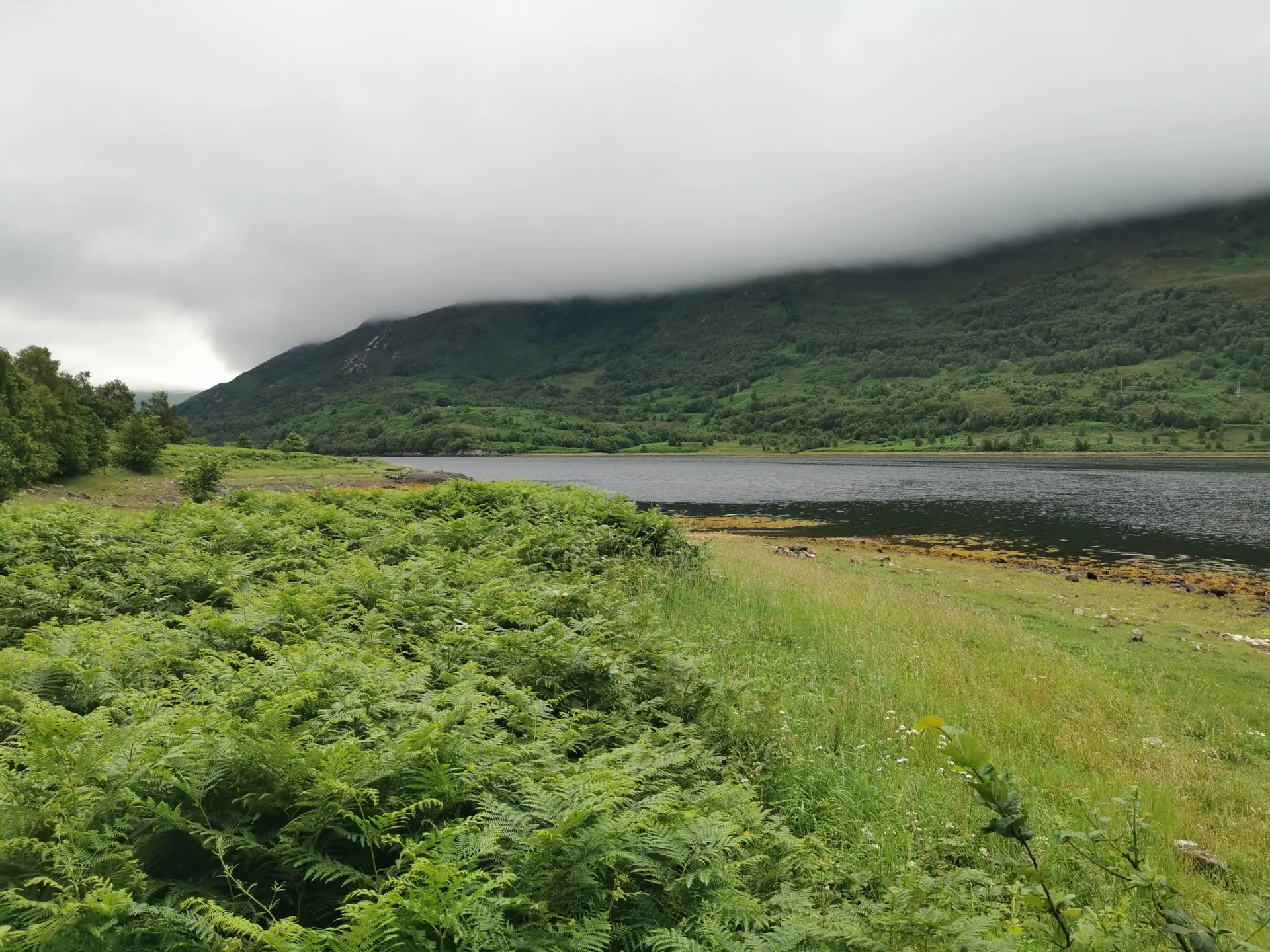 image-3aa9f9cc-cbfc-4c76-871d-10879f91da88